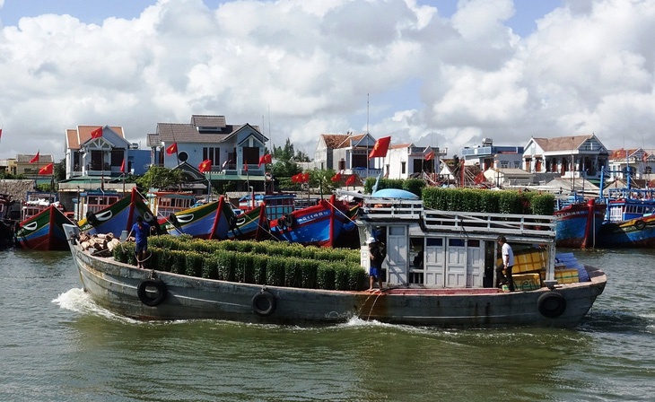 Thời tiết xấu, Quảng Ngãi đề nghị tàu cảnh sát biển đưa người dân về Lý Sơn đón Tết - Ảnh 1.