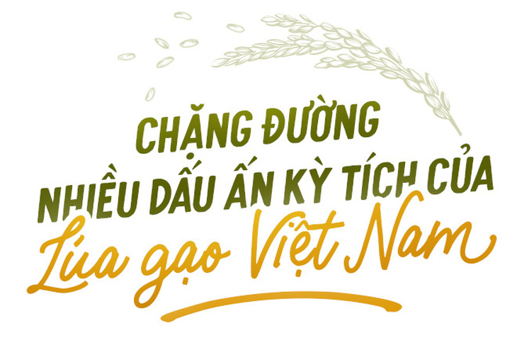 Gạo Việt Nam tự tin xuất hiện trên kệ hàng thế giới - Ảnh 1.