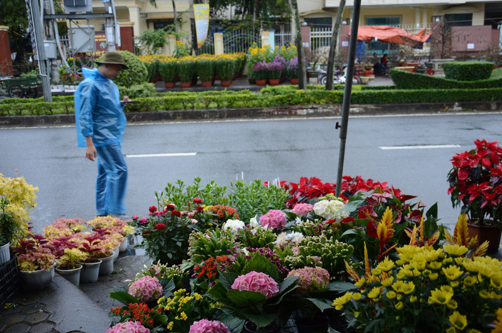 Mưa gió liên tục, chợ hoa Tết Quảng Ngãi đìu hiu - Ảnh 10.