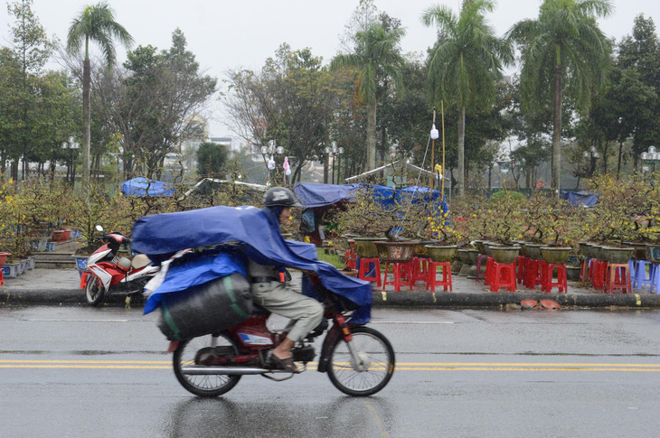 Mưa gió liên tục, chợ hoa Tết Quảng Ngãi đìu hiu - Ảnh 11.