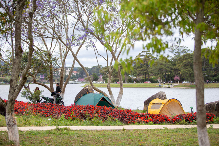 Đà Lạt yêu cầu du khách không cắm trại ở hồ Xuân Hương dịp Tết - Ảnh 2.
