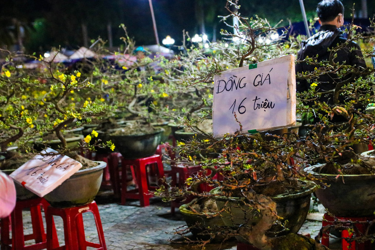 Chợ hoa Tết Quảng Ngãi đồng loạt xả hàng mong thu hồi vốn - Ảnh 5.
