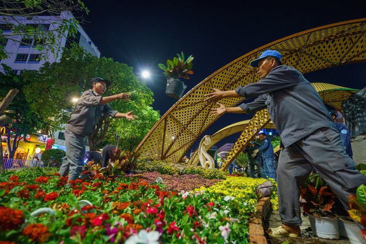 Những chậu hoa còn tươi sẽ được chuyển về các công viên khác trong thành phố - Ảnh: NHƯ BÌNH