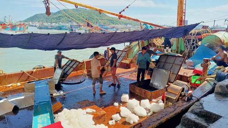 Ngư dân Khánh Hòa được mùa cá ngừ sọc dưa, cá thu… - Ảnh 3.