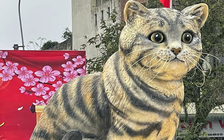 Cựu sinh viên Đại học Duy Tân là cha đẻ của "hoa hậu mèo" 2023