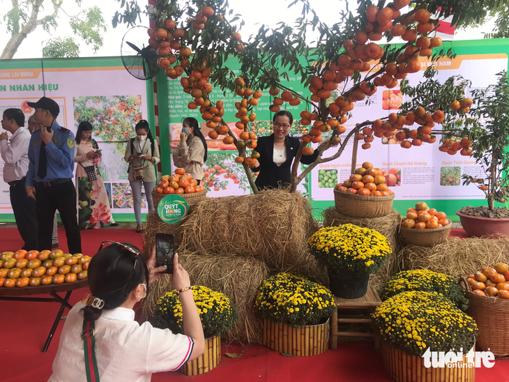 Lễ hội quýt hồng Lai Vung làm nông dân phấn chấn - Ảnh 1.