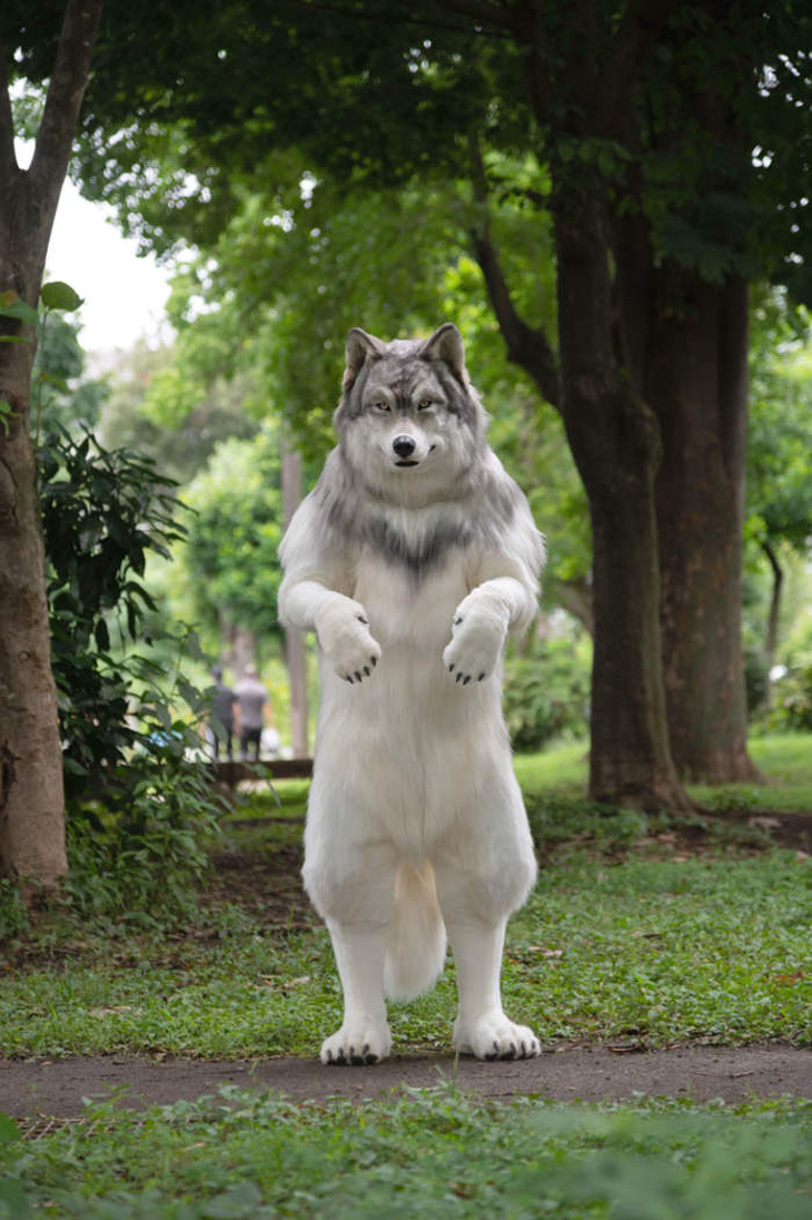 Chàng trai Nhật chi 23.000 USD mua bộ lông thú để trở thành sói - Ảnh 3.