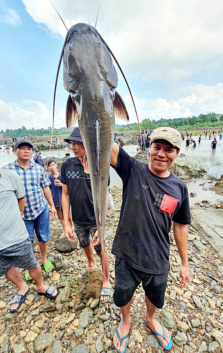 Người dân vui mừng bắt được cá lăngkhủng nặng hơn 10kg, trị giá vàitriệu đồng - Ảnh: A LỘC