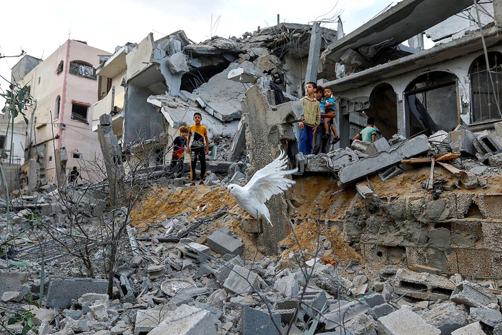 Một con chim bồ câu bay trên những đống đổ nát của các ngôi nhà bị phá hủy trong những đợt không kích của Israel nhắm vào vùng Khan Younis ở Dải Gaza vào ngày 11-10 - Ảnh: REUTERS