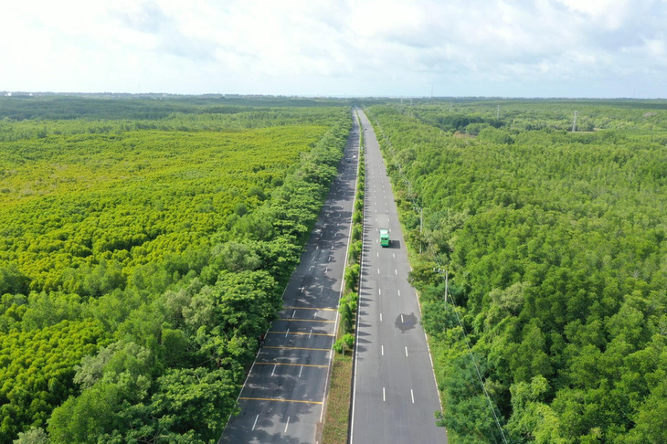 Đến xanh tươi làm lá phổ tự nhiên cho thành phố ngày nay - Ảnh: TỰ TRUNG