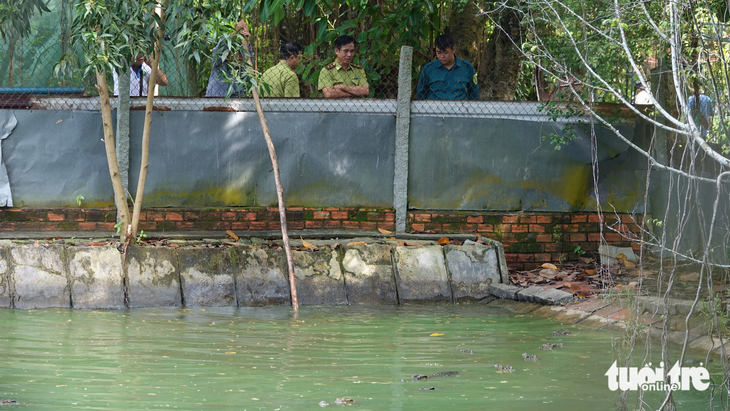 Hồ nuôi cá sấu ở công viên văn hóa An Hòa (phường An Bình, TP Rạch Giá) có đoạn xây xi măng, có đoạn được che chắn bằng tôn và lưới B40 khá chắc chắn - Ảnh: CHÍ CÔNG