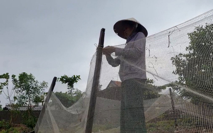 "Tiếp sức nhà nông" tiếp sức cho 40 hộ nông dân Quảng Trị