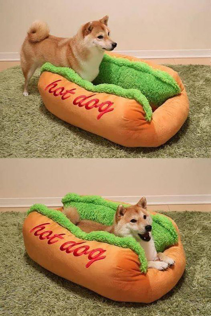 Bánh &quot;hot dog&quot;.