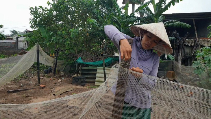Khi nghe tin mình được hỗ trợ vốn vay không lãi suất để chăn nuôi, chị Nhung đã đi giăng lại tấm lưới bao quanh khu vườn sau nhà để nuôi 200 con gà giống - Ảnh: QUỐC NAM