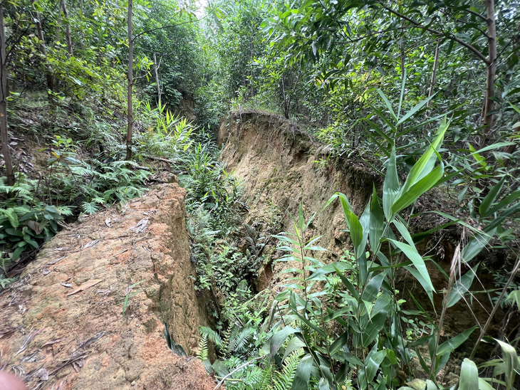 Những vết nứt trên núi Cà Mon đã xuất hiện 4 năm qua, theo thời gian vết nứt ngày càng rộng hơn - Ảnh: TRẦN MAI
