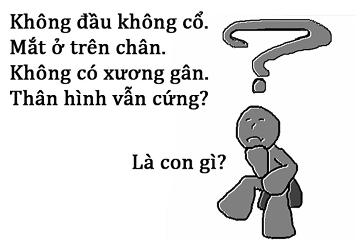 Câu đố hack não: Cái gì bạn không mượn mà trả? - Ảnh 7.