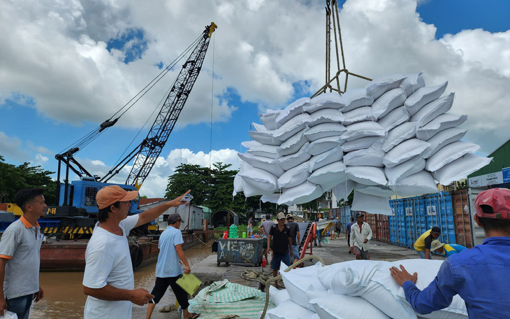 Giá gạo xuất khẩu loại 5% tấm Việt Nam lại lập đỉnh