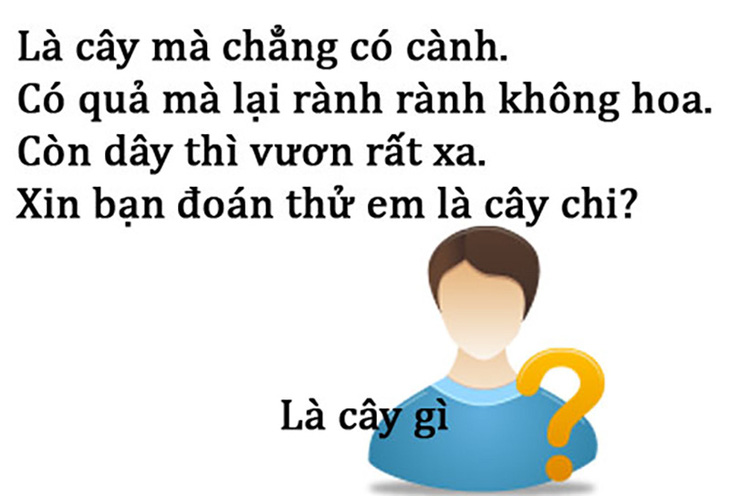 Câu đố hack não: Cái gì đi nhai, đứng ngậm, ngồi cười? - Ảnh 7.