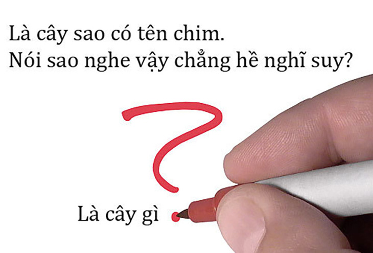 Câu đố hack não: Cái gì càng nặn càng nhẹ? - Ảnh 7.