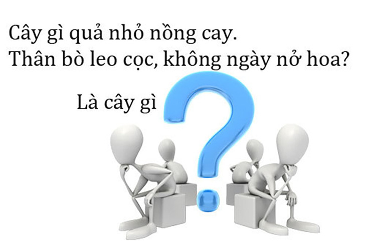 Câu đố hack não: Cái gì càng nặn càng nhẹ? - Ảnh 10.