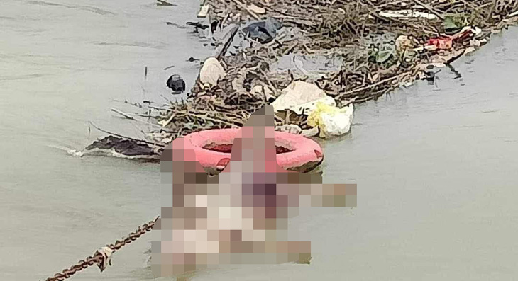 Xác heo chết mắc lại cùng rác thải trên kênh Đào qua huyện Yên Thành, Nghệ An (ảnh chụp cuối tháng 10-2023) - Ảnh: DOÃN HÒA