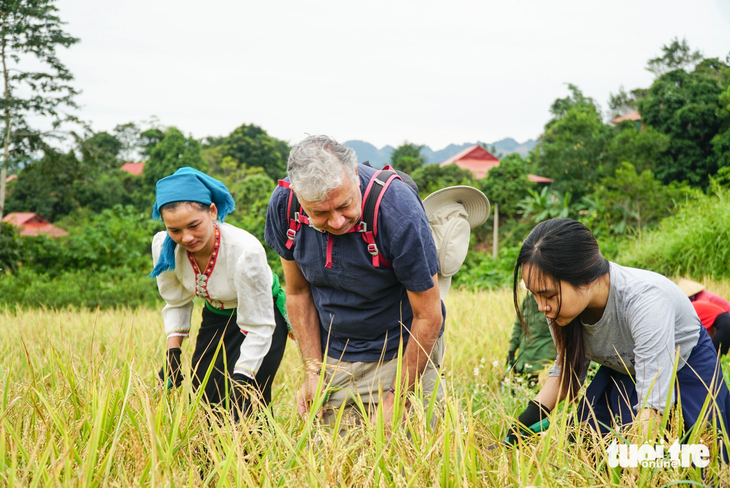 Trước khi tham gia gặt lúa, du khách được hướng dẫn cách sử dụng liềm, cách đảm bảo an toàn khi trải nghiệm - Ảnh: NGUYỄN HIỀN