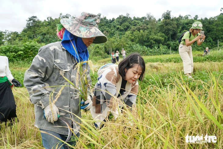 Trải nghiệm mới giúp du khách quên hết muộn phiền, nạp lại năng lượng cho bản thân - Ảnh: NGUYỄN HIỀN