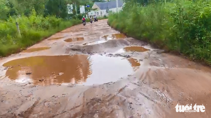 Con đường đất đỏ đến Rạch Vẹm (xã Gành Dầu, TP Phú Quốc) nhiều ổ voi, ổ gà đọng nước sau những cơn mưa mấy ngày qua - Ảnh: CHÍ CÔNG