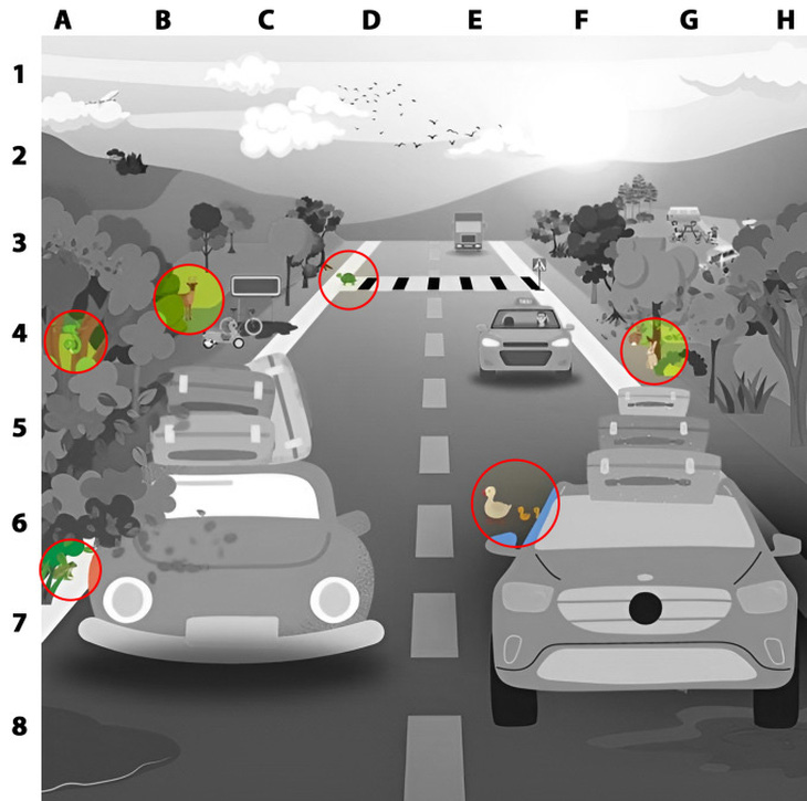 Người IQ cao có thấy 9 khuôn mặt trong hình? - Ảnh 1.