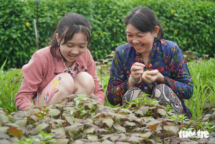 Suốt 14 năm, sau khi chồng mất, bà Nguyễn Thị Ngọc Hường làm cả ngày lẫn đêm để kiếm tiền nuôi con ăn học. Trong ảnh: bà Hường và con gái Nguyễn Ngọc Hải Yến đang chăm sóc vườn rau - Ảnh: MẬU TRƯỜNG
