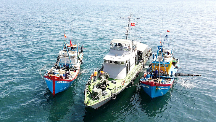 Tàu tuần tra của bộ đội biên phòng kiểm tra tàu cá để chống khai thác thủy sản bất hợp pháp - Ảnh: Đ.HÀ