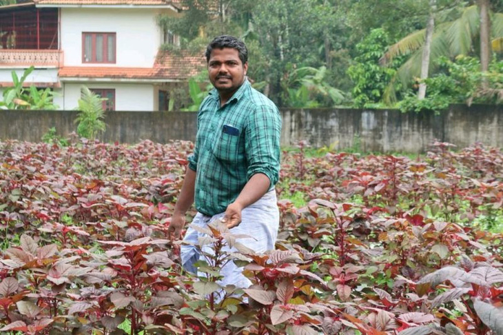 Sujith SP là một nông dân kiểu mới điển hình, đã nhận được nhiều giải thưởng và sống sung túc với nghề bán rau - Ảnh: LinkedIn
