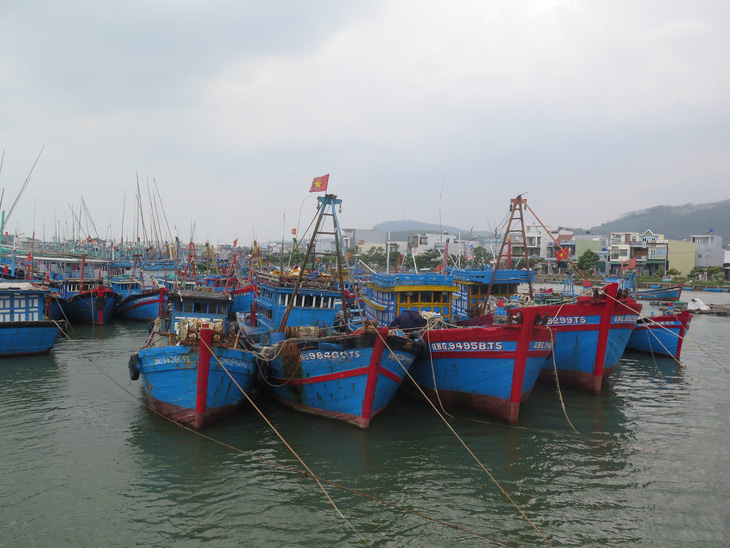 Nơi neo đậu tàu thuyền của ngư dân xã Nghĩa An, địa phương có nhiều tàu lớn. Đây là lần đầu tiên chủ tàu cá ở Quảng Ngãi vi phạm các lỗi trên bị xử phạt hơn 850 triệu đồng - Ảnh: TRẦN MAI