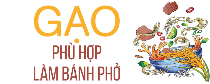 Bánh phở - nghề ăn cũng lắm nhiêu khê - Ảnh 2.