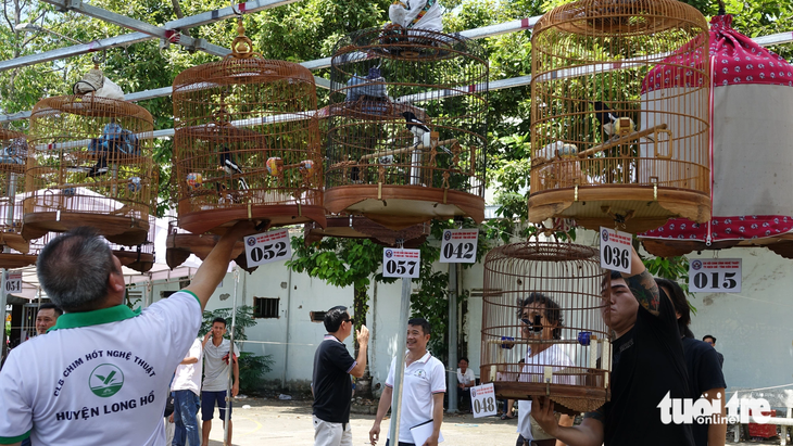Kiên Giang tổ chức hội thi chim cảnh nghệ thuật nhân kỷ niệm 155 năm Anh hùng dân tộc Nguyễn Trung Trực hy sinh (1868 - 2023) - Ảnh: CHÍ CÔNG