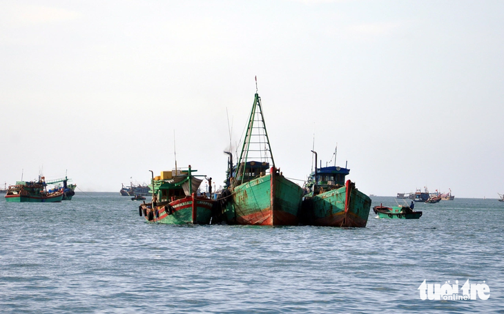 Ngư dân đã và đang tích cực phòng chống IUU để ngành thủy sản Việt Nam được gỡ &quot;thẻ vàng&quot;. Trong ảnh là tàu cá neo ở vịnh Bến Đầm, Côn Đảo, tỉnh Bà Rịa - Vũng Tàu - Ảnh: ĐÔNG HÀ