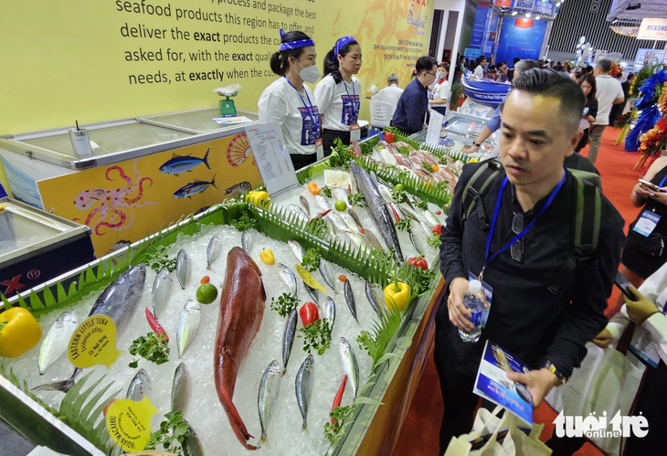 Giá trị xuất khẩu cá tra và nhiều mặt hàng thủy sản khác của Việt Nam đang dần khởi sắc so với các tháng trước đó - Ảnh: N.TRÍ