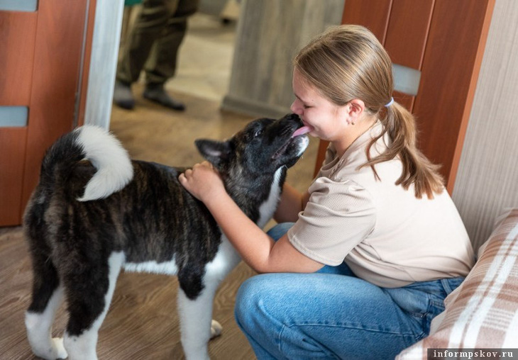 Vika hạnh phúc sau khi được Tổng thống Nga Putin tặng chó Akita Inu - Ảnh: INFORMPSKOV.RU
