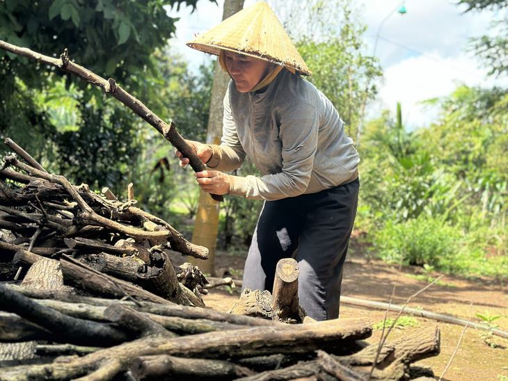 Bà Trần Thị Vĩnh (mẹ Hùng) tranh thủ vun đất gốc cây ăn trái khi không đi làm thuê - Ảnh: THẾ THẾ
