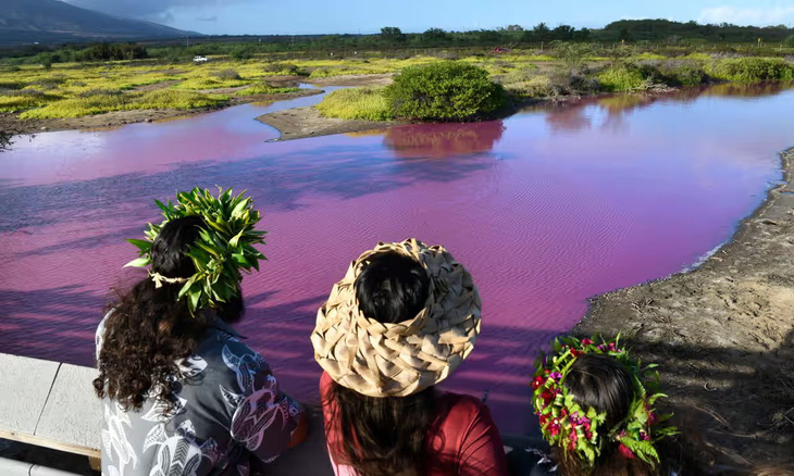Người dân ngắm nhìn màu hồng lạ mắt của ao nước trong Khu bảo tồn động vật hoang dã Kealia Pond ở Maui, Hawaii, ngày 8-11 - Ảnh: AP