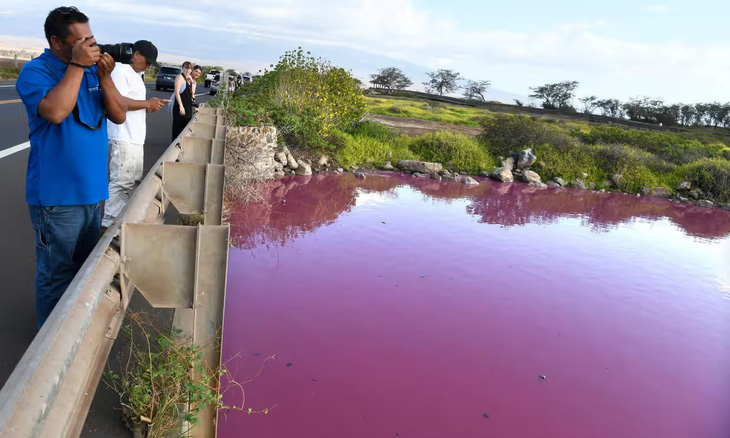 Du khách đổ xô đến chụp ảnh ao nước màu hồng - Ảnh: AP 