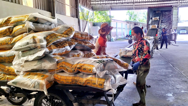 Việt Nam nên tận dụng cơ hội giá gạo cao để xuất khẩu. Trong ảnh: Tập đoàn Tân Long đóng gạo đưa lên xe tải đi xuất khẩu - Ảnh: VĨNH SƠN
