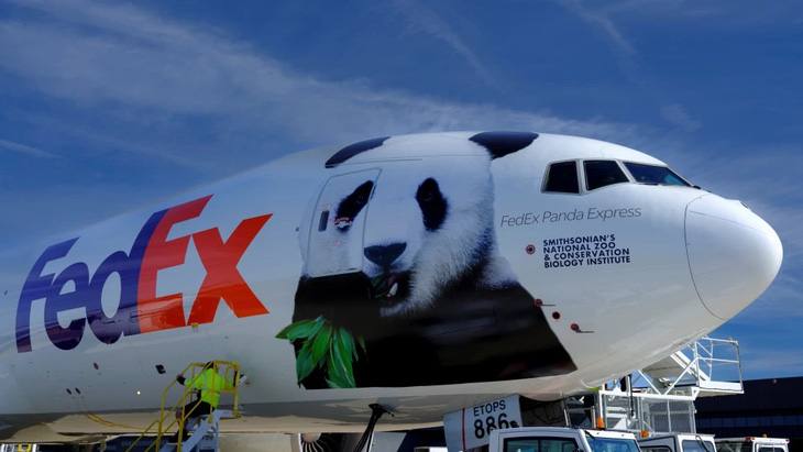 Máy bay vận chuyển của FedEx đưa 3 gấu trúc ở Mỹ về Trung Quốc - Ảnh: FEDEX