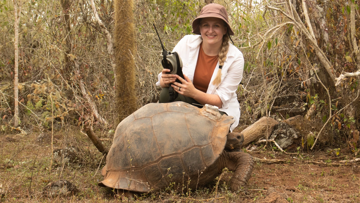 Rùa khổng lồ Galapagos - Ảnh: University Communications And Marketing