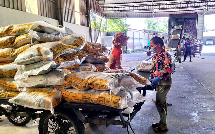 Bài toán lúa gạo cho Việt Nam- Ảnh 2.