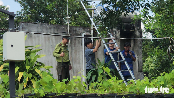 Sáng 11-11, kiểm lâm phối hợp với lực lượng chức năng và người dân địa phương tìm kiếm, bắn thuốc gây mê con khỉ xuất hiện tại một số nhà dân ở Tân Thới 1 (xã Tân Hiệp, huyện Hóc Môn) - Ảnh: NGỌC KHẢI