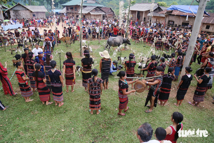 Lễ hội truyền thống Ariêu Piing của người Pa Kô trở thành di sản văn hóa phi vật thể - Ảnh: HOÀNG TÁO
