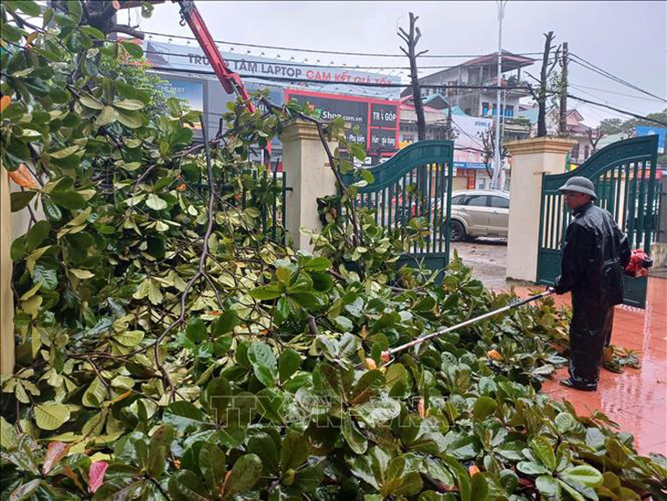 Công nhân cắt tỉa cây xanh ở TP Vinh, Nghệ An - Ảnh: TTXVN