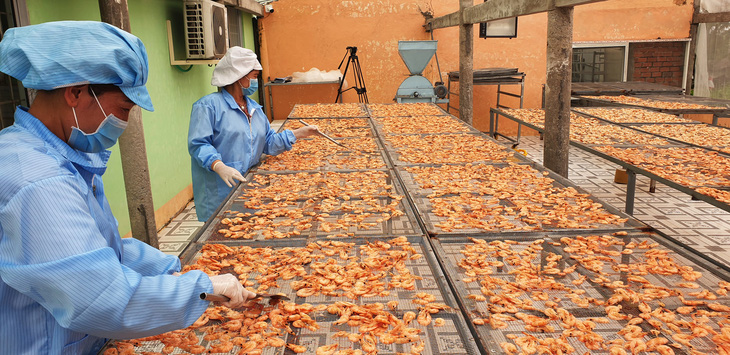 Tỉnh Cà Mau có hàng trăm cơ sở sản xuất tôm khô, giải quyết việc làm cho hàng ngàn lao động - Ảnh: THANH HUYỀN