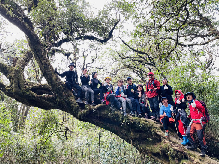 Phát triển mạnh du lịch trekking leo núi, thể thao mạo hiểm, du lịch sinh thái,... được định hướng phát triển Lai Châu - Ảnh: KIM ANH